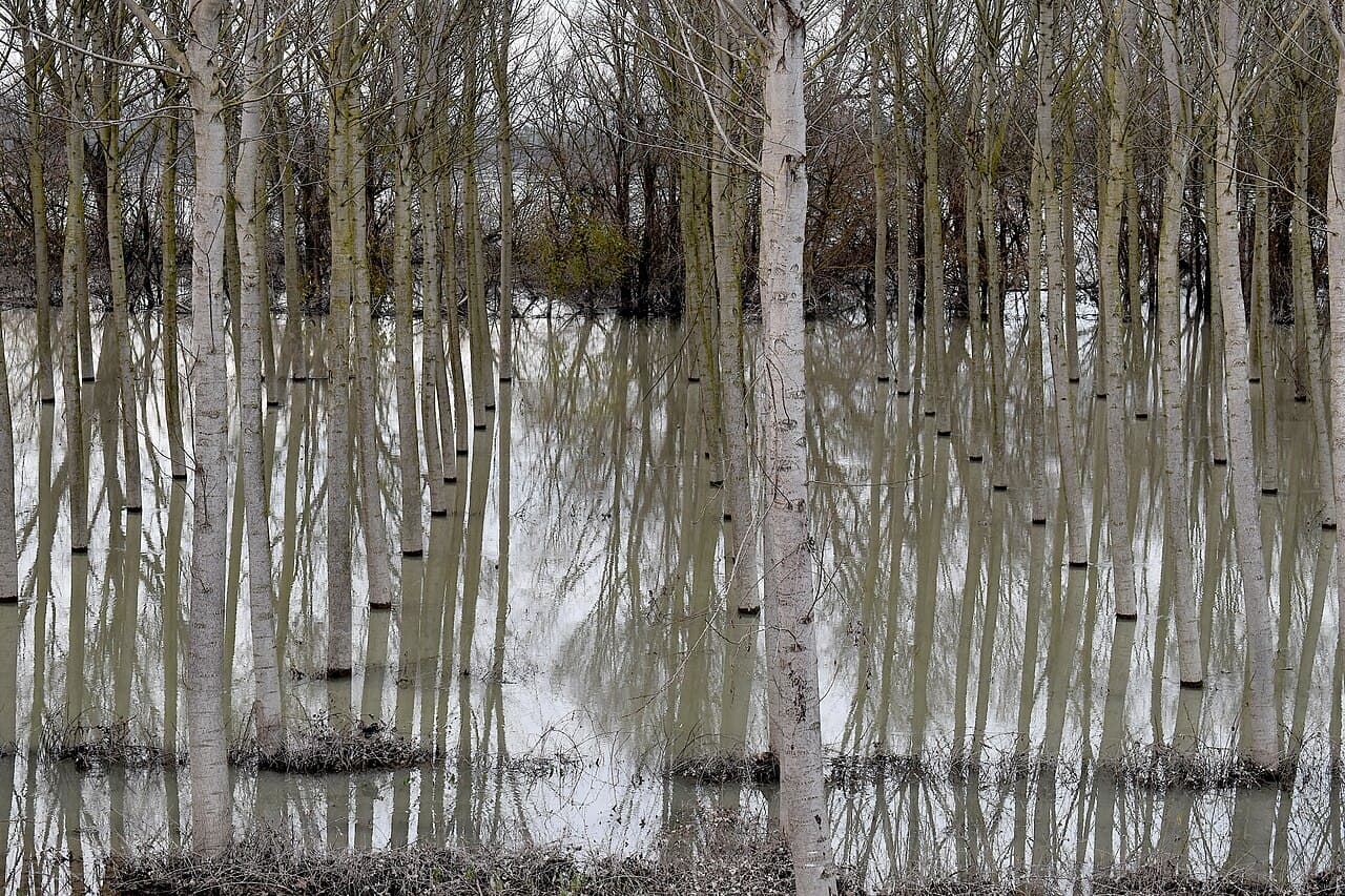Po (river)