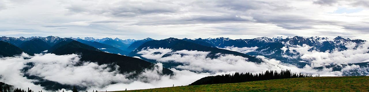 Olympic Peninsula