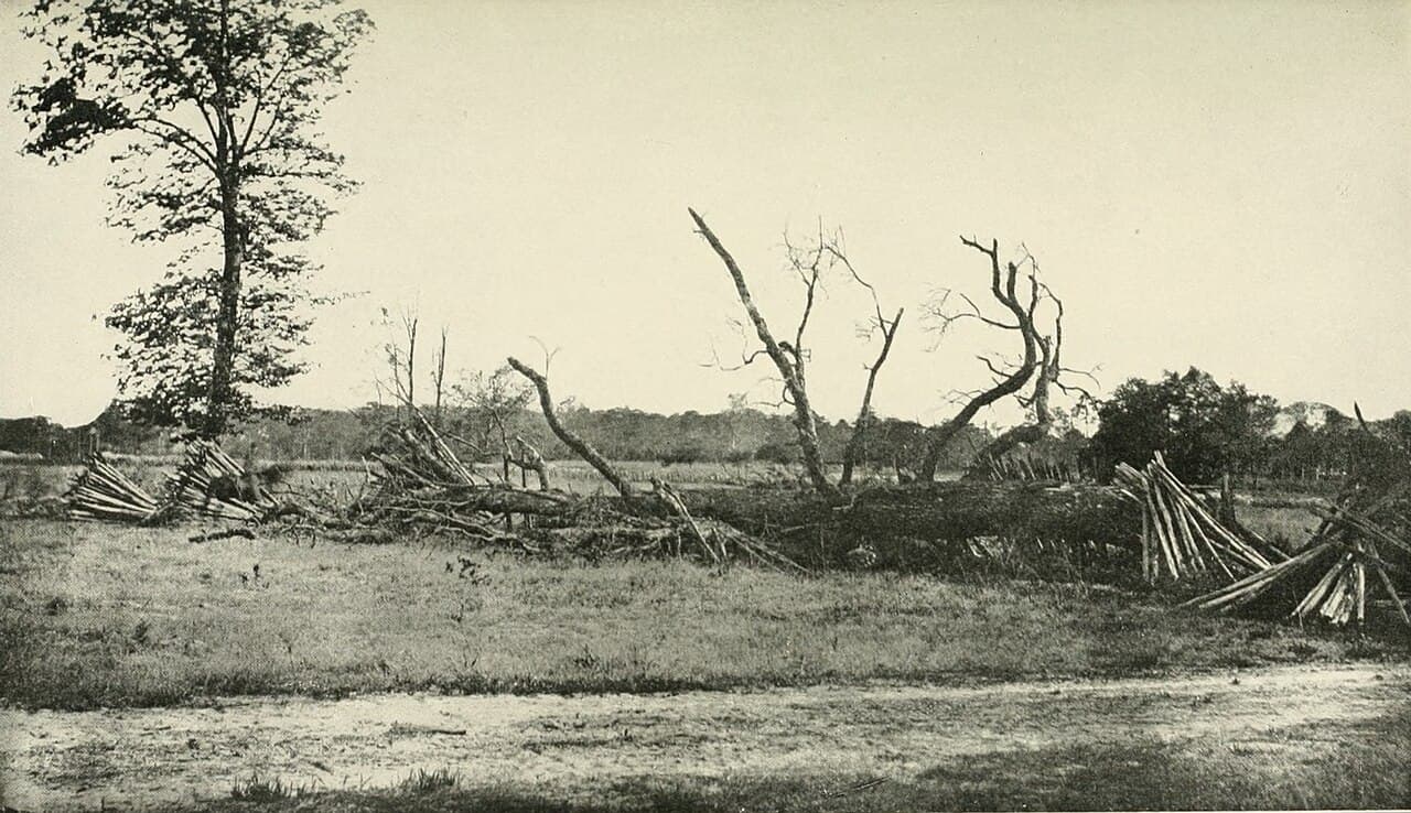 Battle of Cold Harbor
